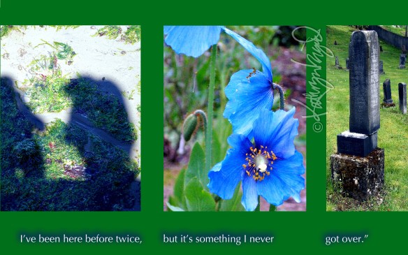 Photos + text: Really Knocked Me Off My Feet 2