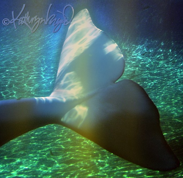 Digital illustration from a photo: The Mermaid's Tale