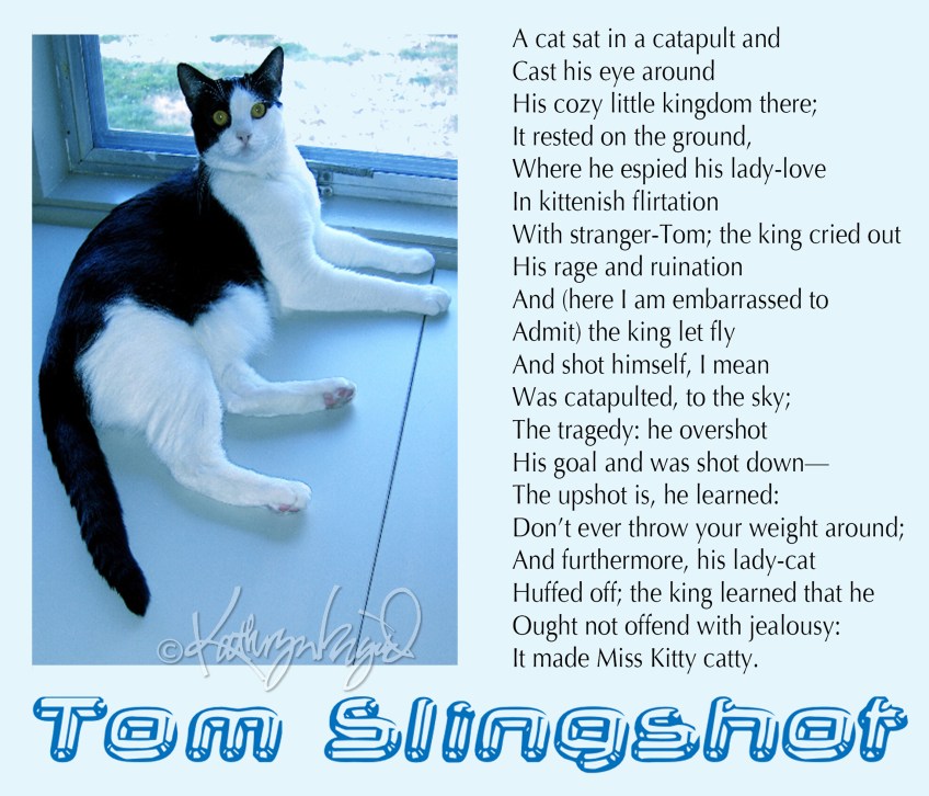 Photo + text: Tom Slingshot