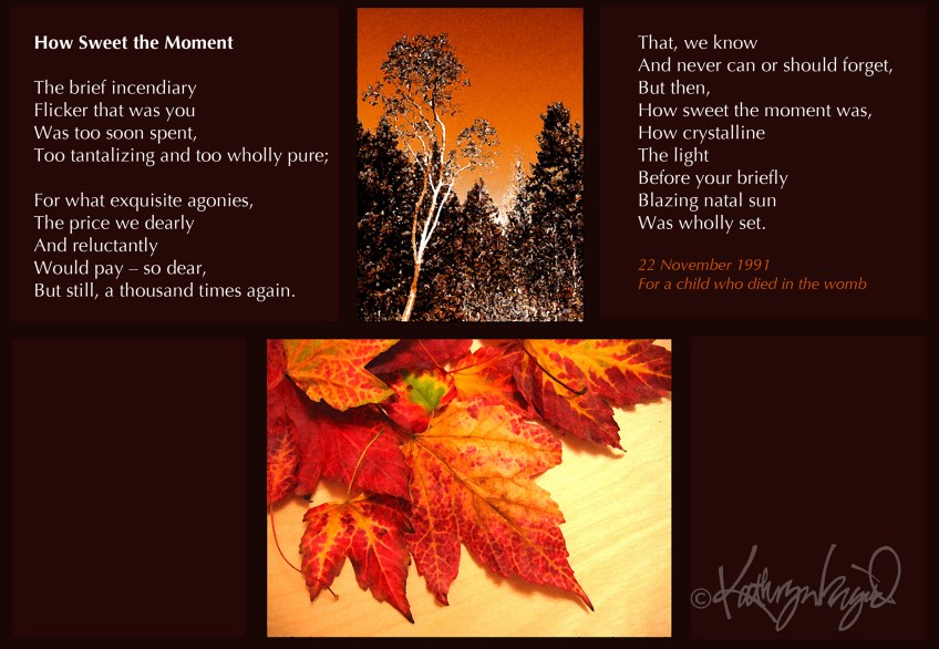 Photos + text: How Sweet the Moment