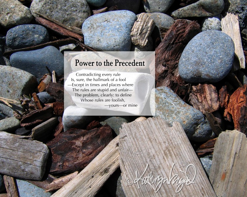 Photo + text: Fools & Their Followers