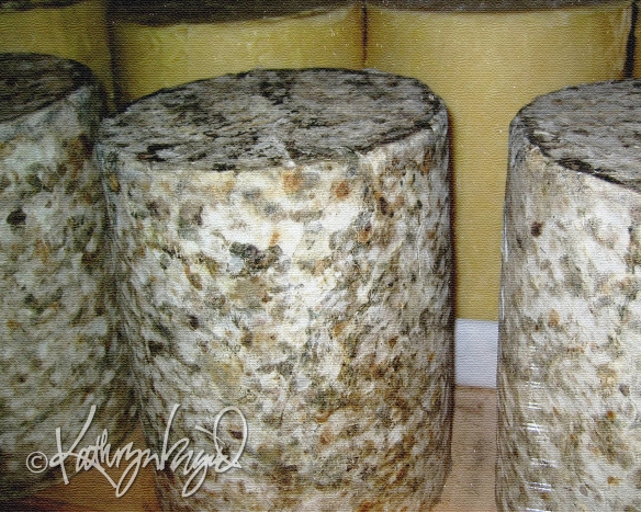 Photo: Aging Cheeses