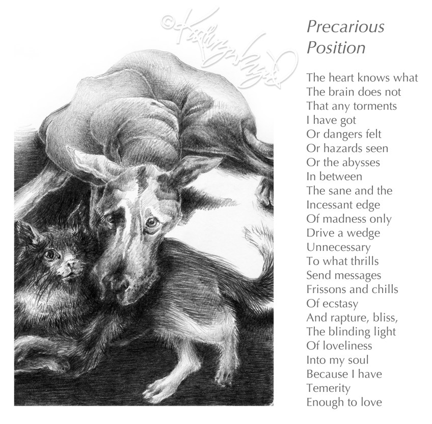 Graphite Drawing + Text: Precarious Position