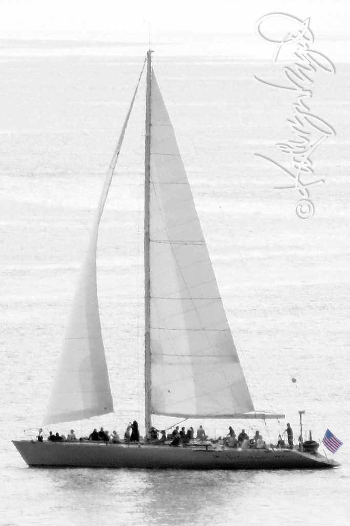 Photo: Adrift on the High Seas