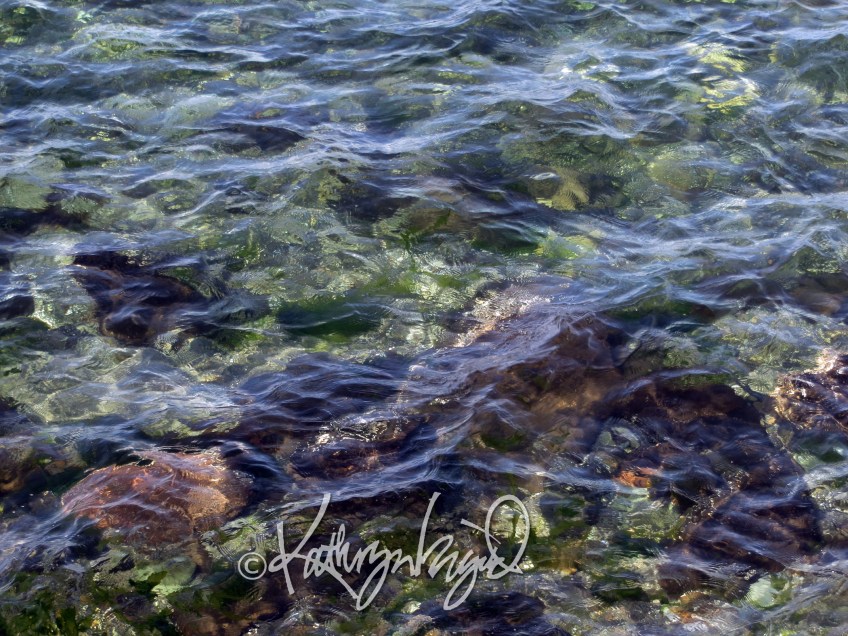 Photo: The Seasonless Sea