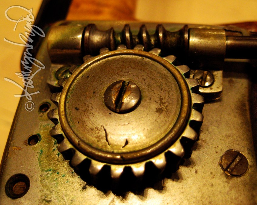 Photo: Stringed Instruments