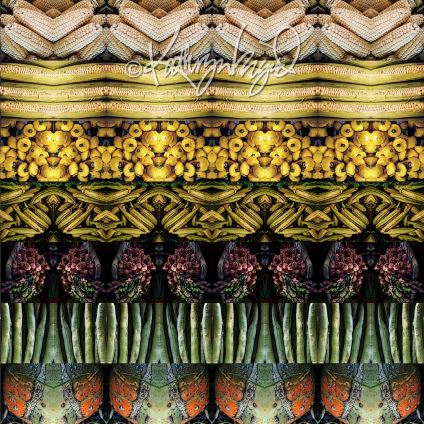 Digital illustration from photos: Vegetal Vision