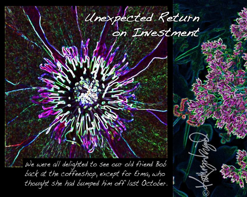 Digital illo + text: Unexpected Return on Investment