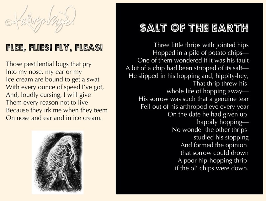 Drawing + text: Flea, Fly, Flew