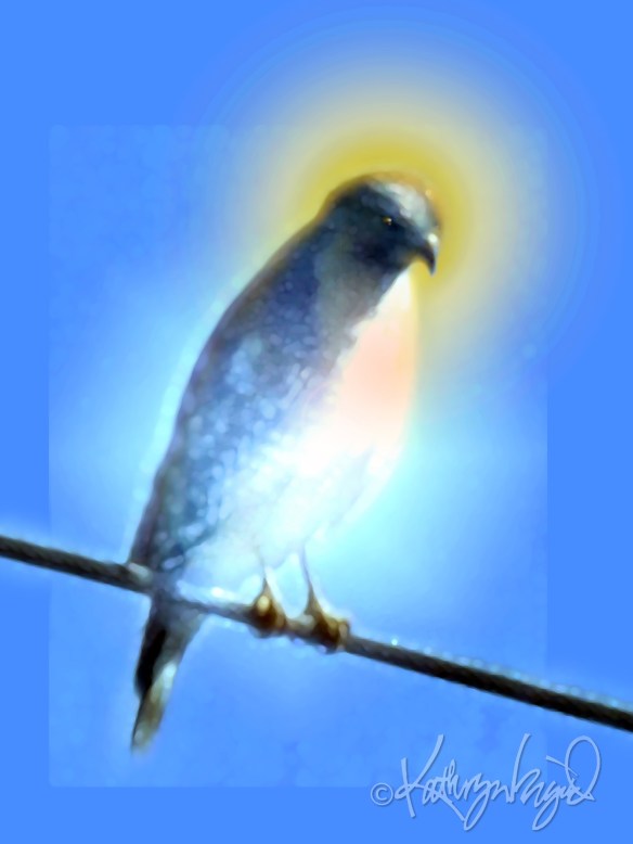 Digital illo from a photo: Boon Companion