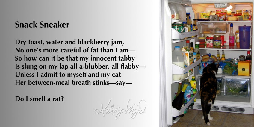 Photo + text: Snack Sneaker