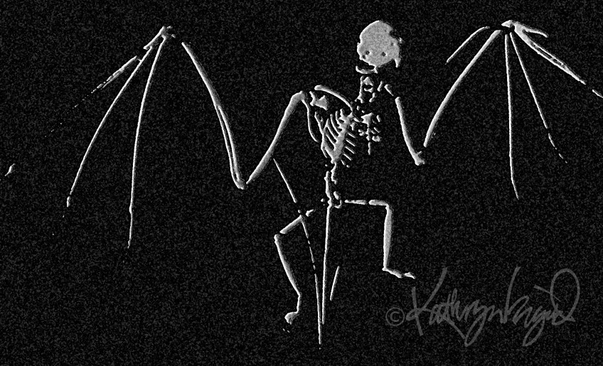 Digital illo from a photo: Black Wing