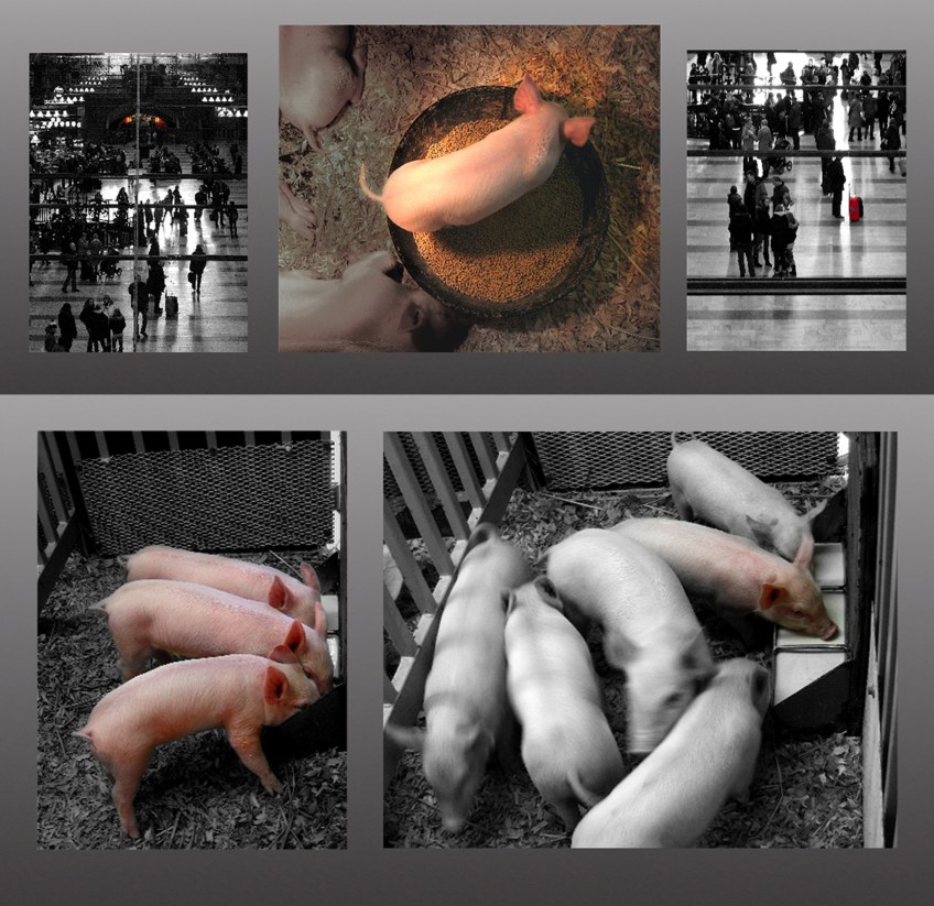 Photo montage: Rules of Travel