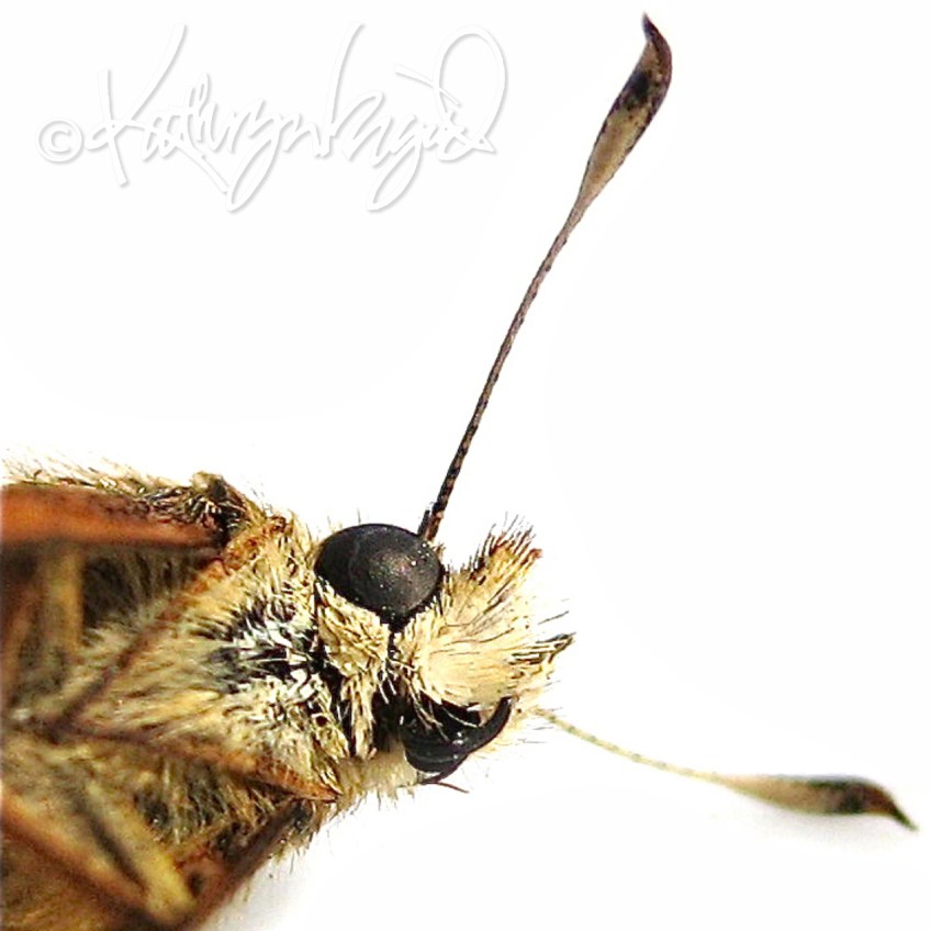 Photo: Deep Thoughts