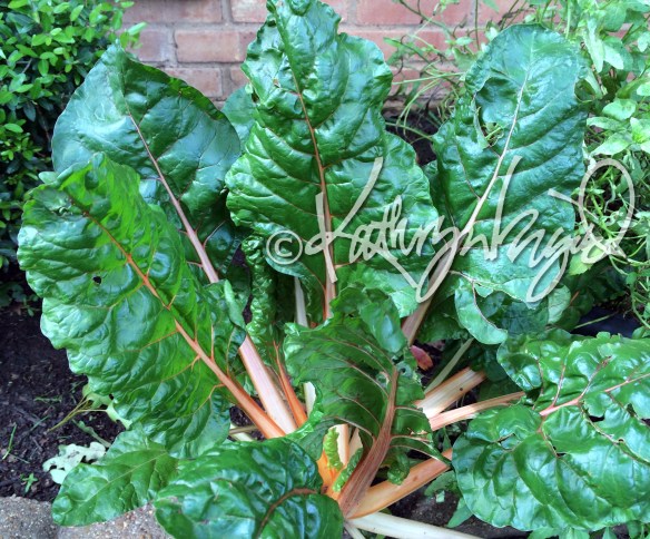 2015-05-12.eat-you-up.8