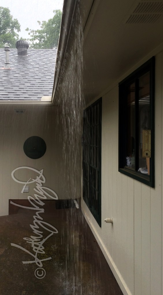 Photo: Not the Last Rain