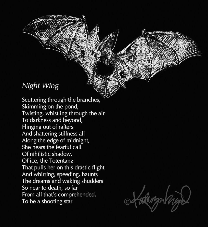 Drwg + text: Night Wing