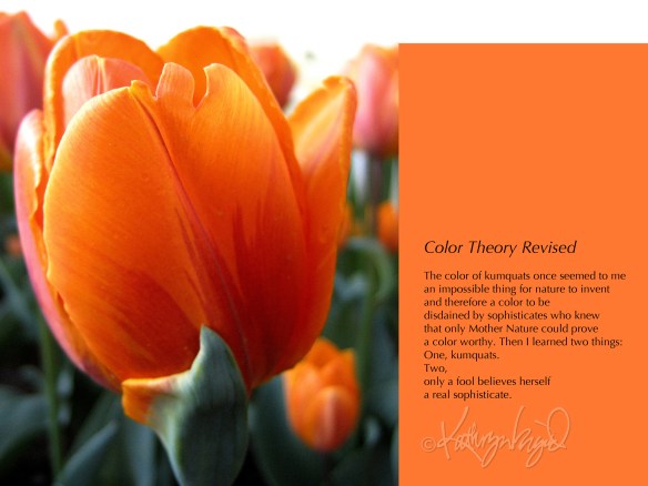 Photo + text: Color Theory Revised