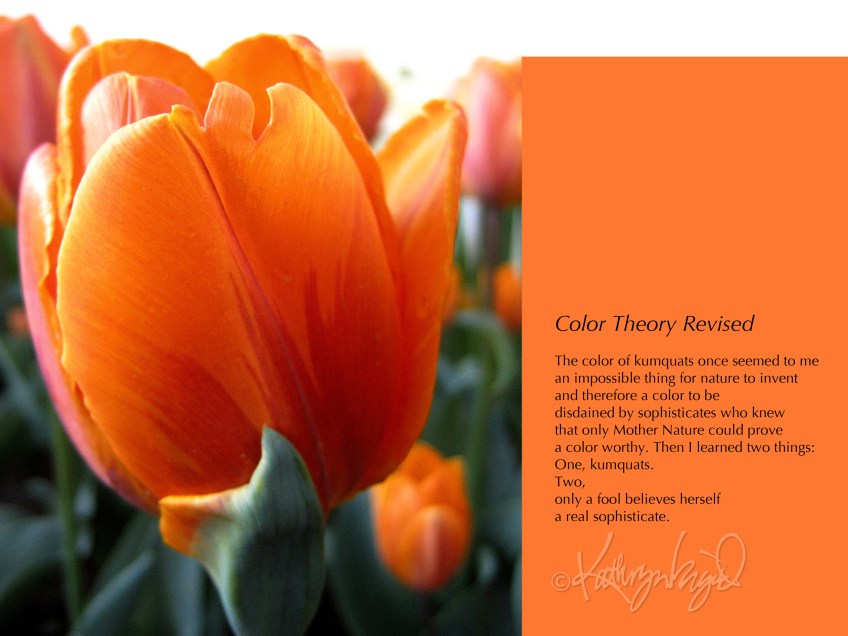 Photo + text: Color Theory Revised