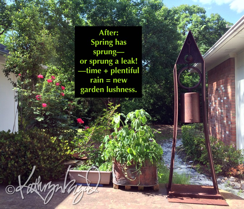 Photo: Spring has Sprung