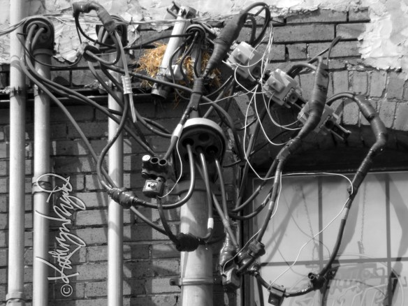 Photo: Leaving the Nest