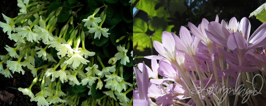 Photo montage: Sun & Shadow