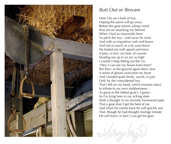 Photo + text: Human vs. Ruminant