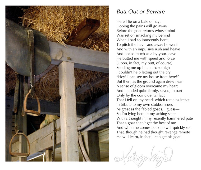 Photo + text: Human vs. Ruminant