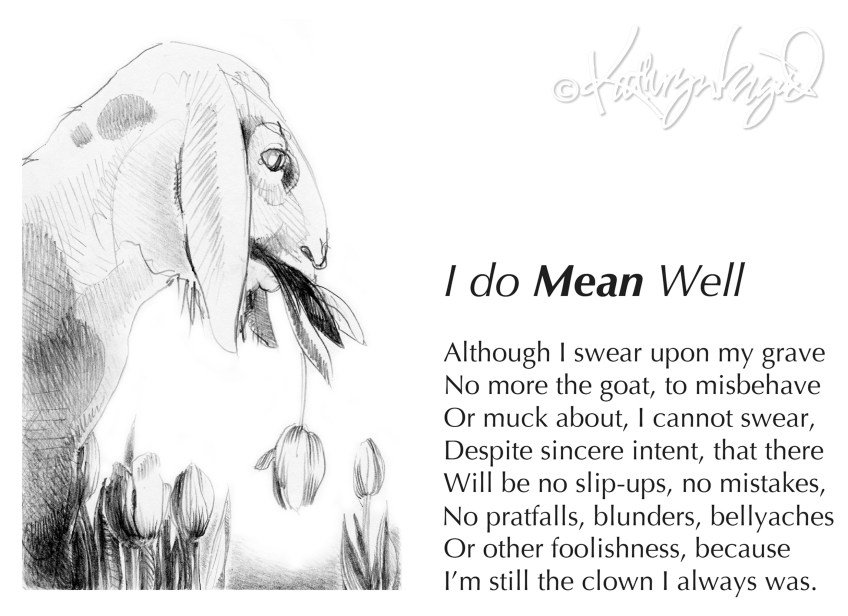 Drwg + text: I do *Mean* Well