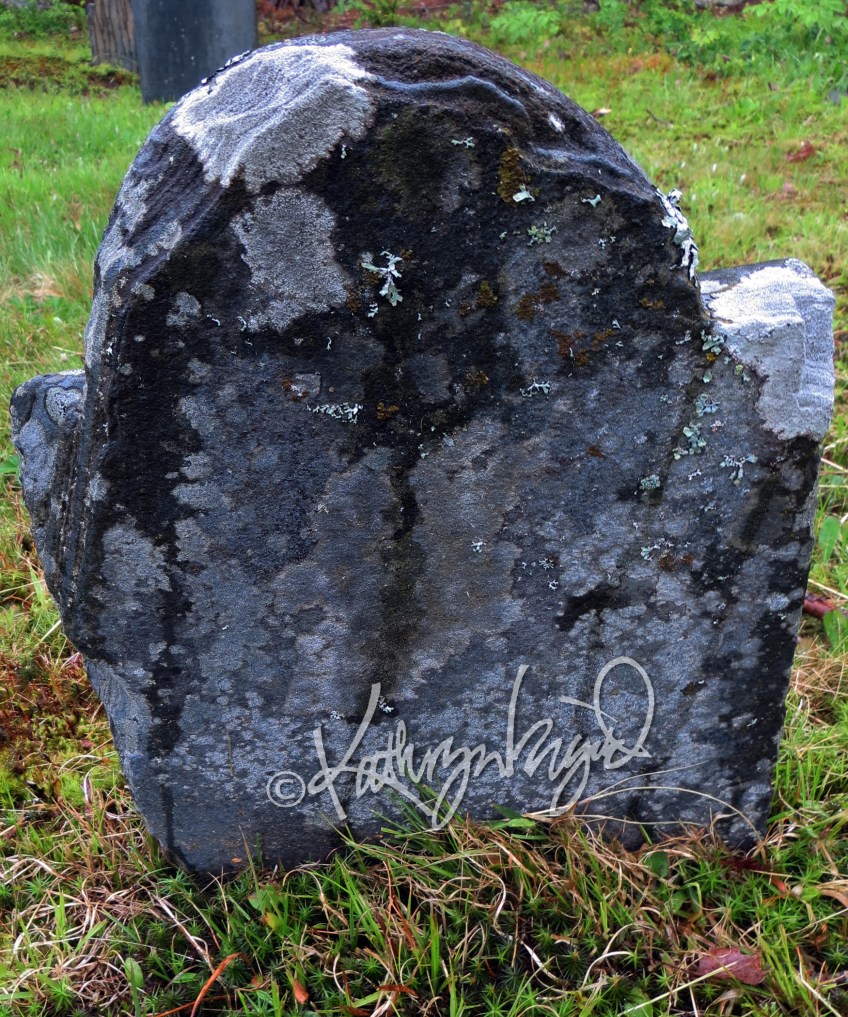 Photo: Evening in the Cemetery