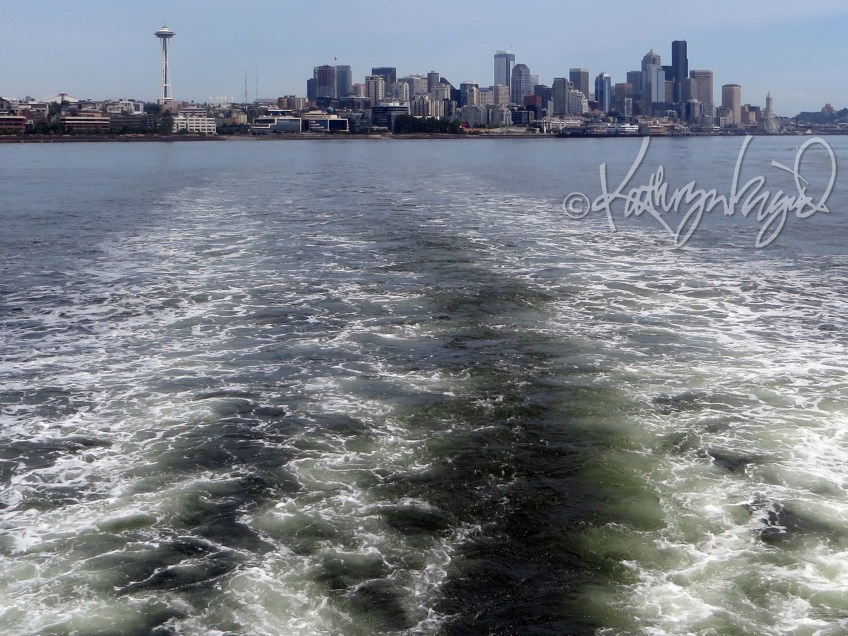 Photo: Seattle Skyline from Puget Sound