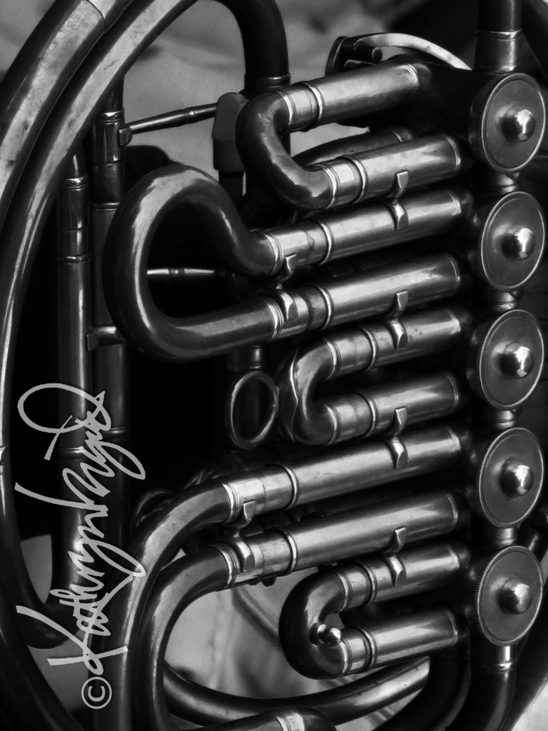 Photo: Plumbing the Depths