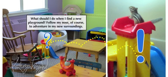 Digital illo from a photo: Intrepid as a Chipmunk