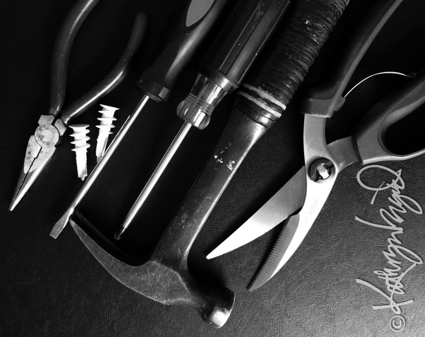 Photo: One of These Things is Not Like the Others...