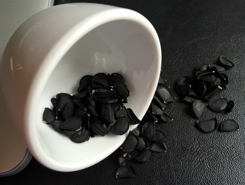 Photo: Red Yucca Seeds