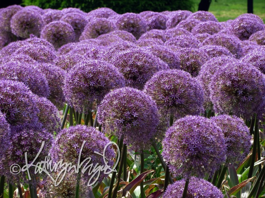 Photo: Surprise Bouquet