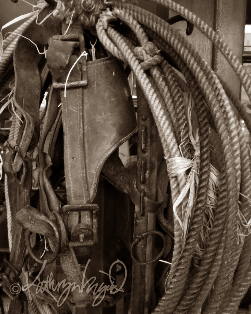 Photo: Rough & Ready 2