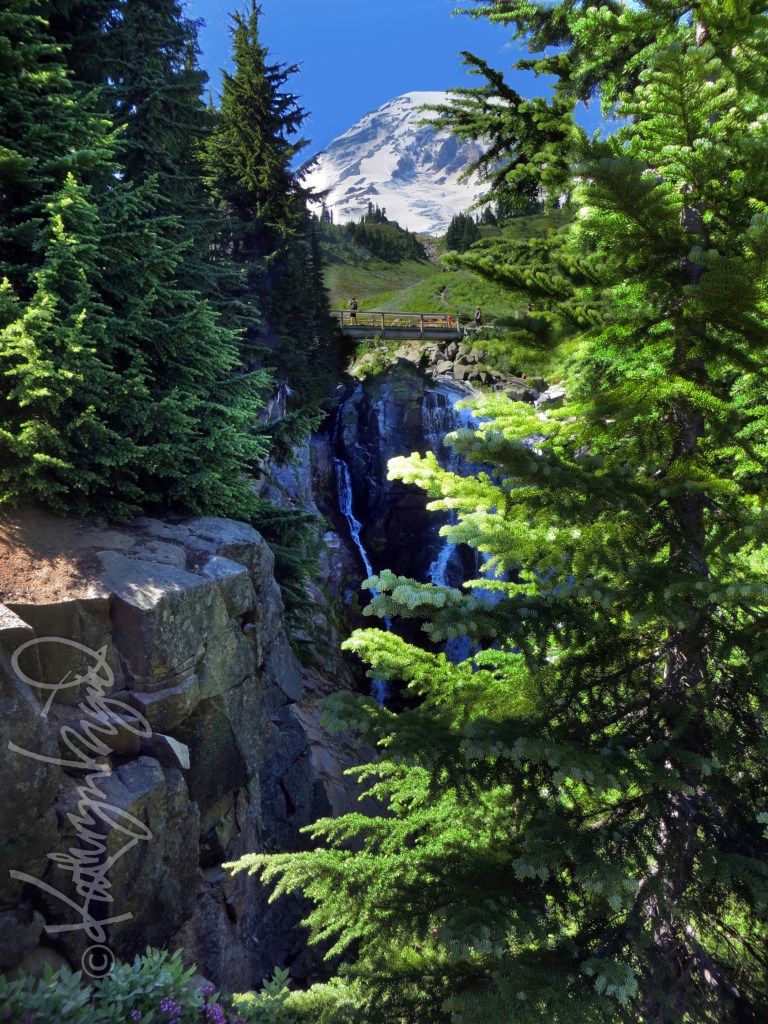 Photo: In a Perfect World