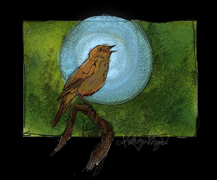 Digital illo: Nightingale