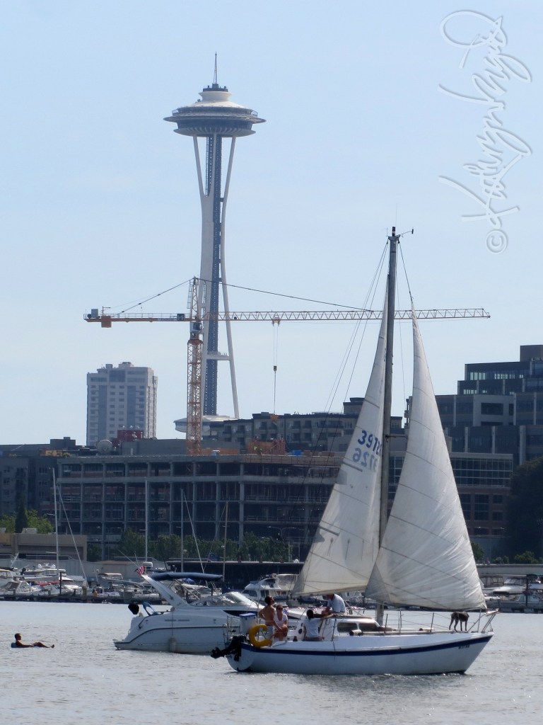 Photo: Space Needle in Sun