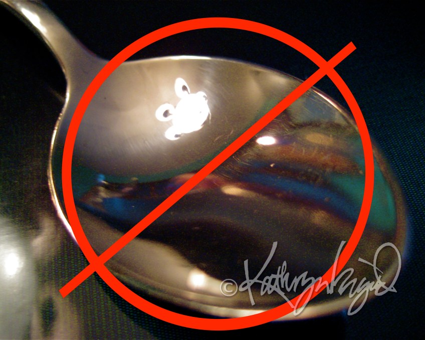 Photo: Just Say No to Spoons!
