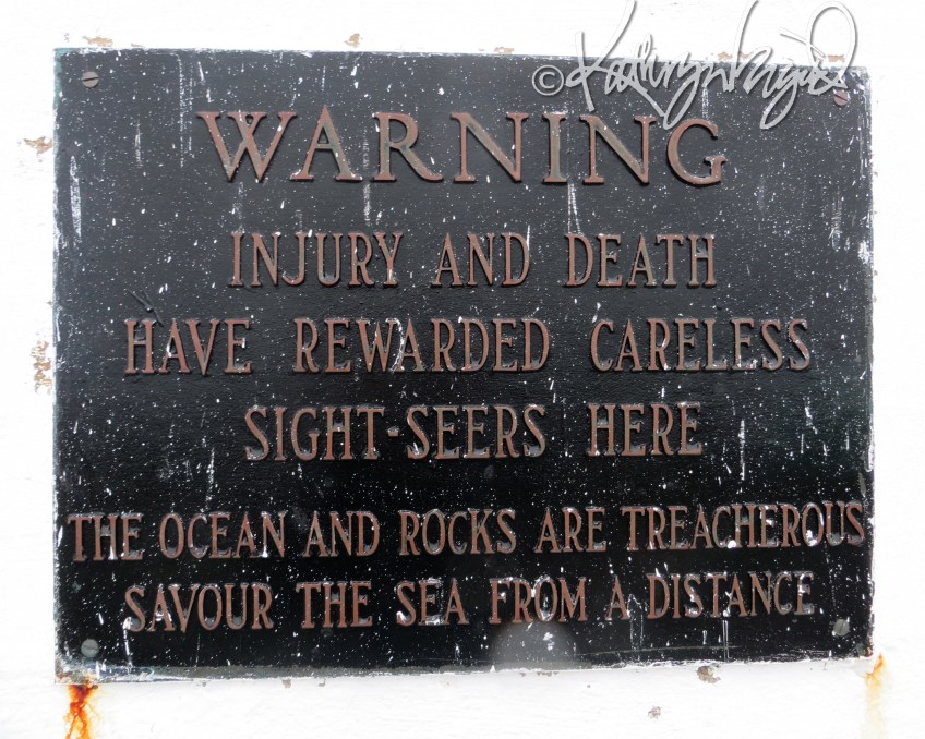 Photo: Calculated Risks