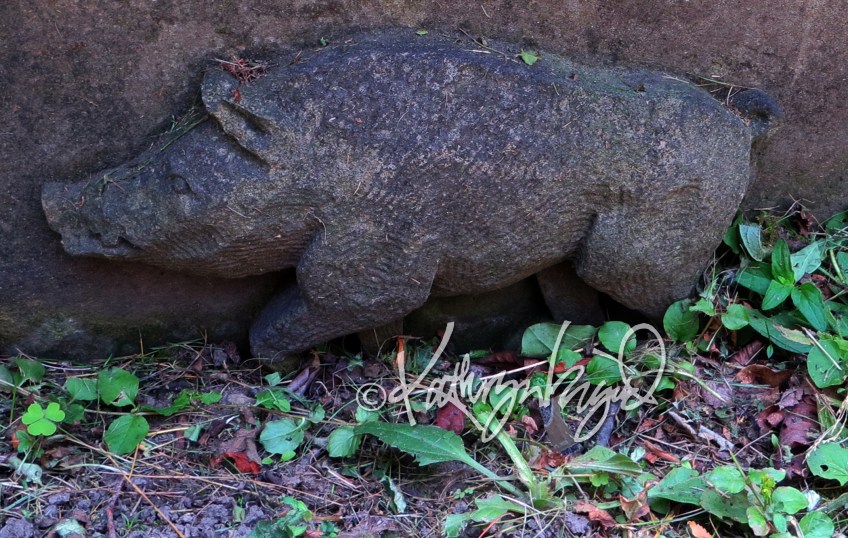 Photo: A Boar No More?