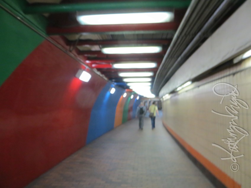 Photo: A Life's Journey