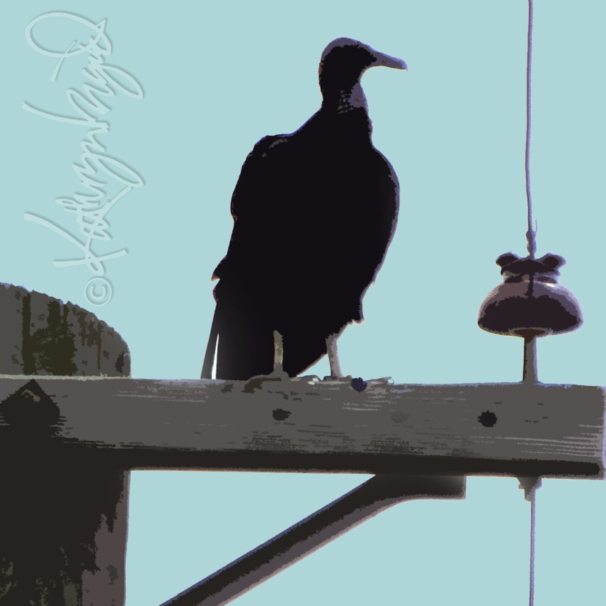 Digital illo from a photo: Metanoia or Paranoia?