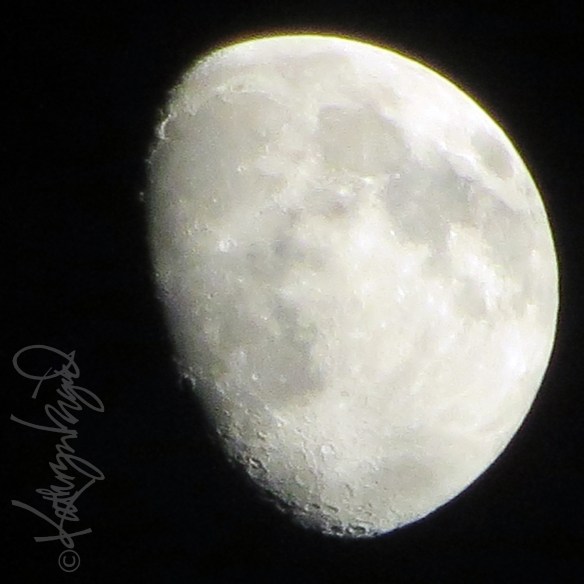 Photo: A Night Like This