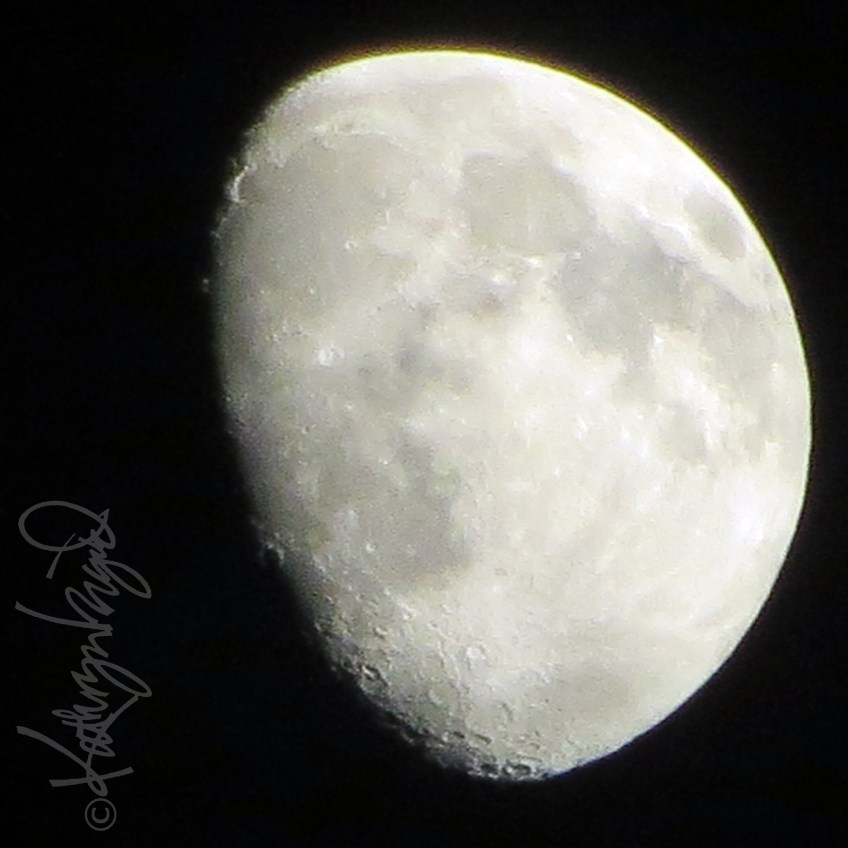 Photo: A Night Like This