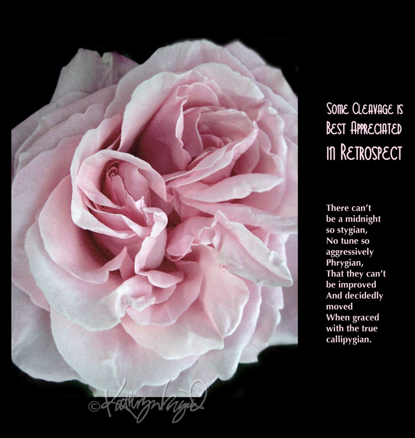 Photo + text: Some Cleavage is Best Appreciated in Retrospect