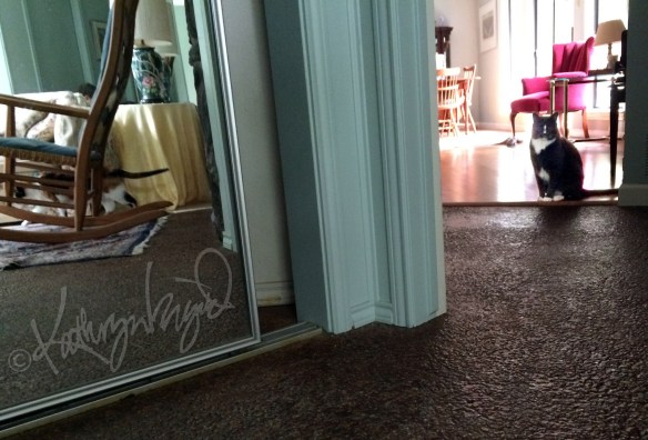 Photo: Together/Apart