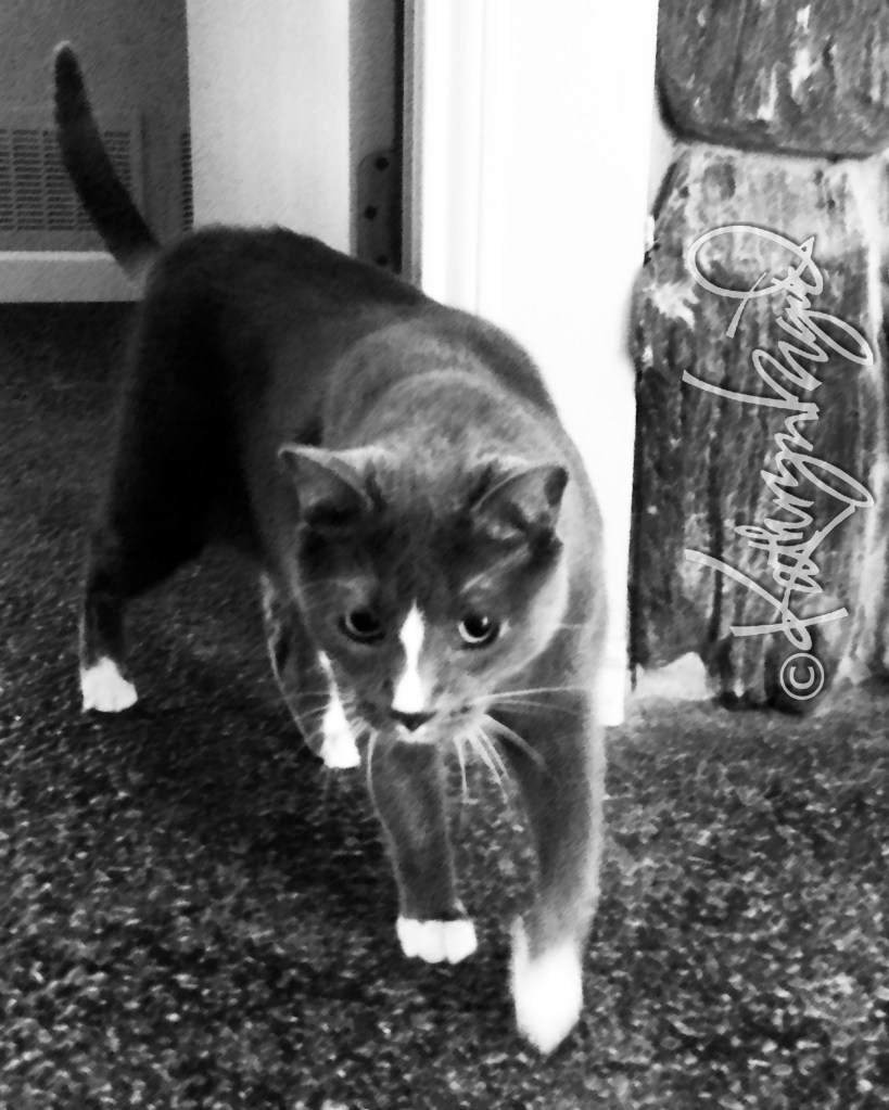 Photo: I will approach you.